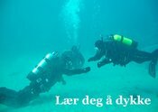 Lær deg å dykke Saltstraumen DykkeCamp