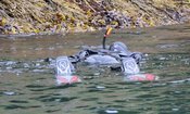 Snorkling Saltstraumen DykkeCamp