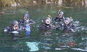 Snorkling Saltstraumen DykkeCamp