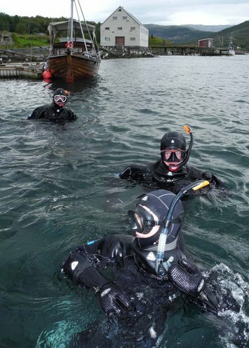 Snorking Saltstraumen DykkeCamp